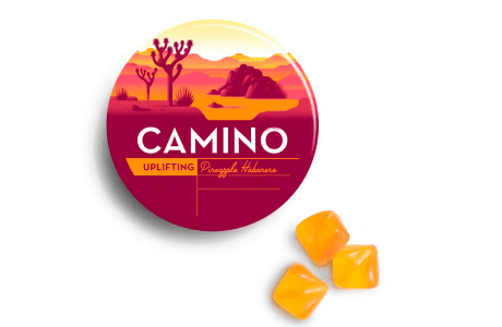 Freshly Baked card artwork for daily go-to selections